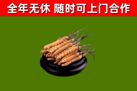 定日县烟酒回收冬虫夏草.jpg